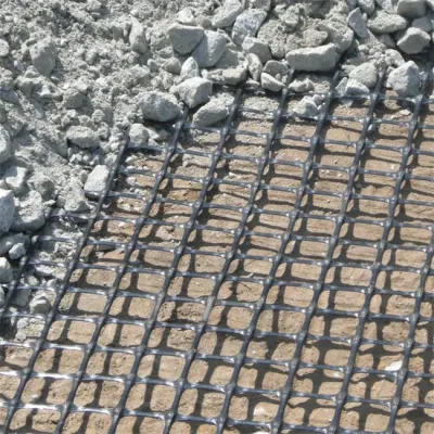 Landslide Geogrid Polyester Mining Mesh Geo Grid for Consolidation