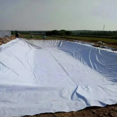 Polypropylene/Polyester Needle Punched Filament Geotextile Fabric Used for Road Construction with Geogrid