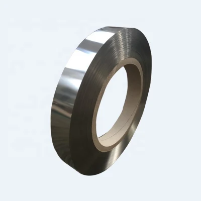 Custom Cold Rolled Stainless Steel Strip 304 with 0.05mm 2mm Thick From Chinese Supplier
