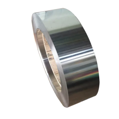 Custom Cold Rolled Stainless Steel Strip 304 with 0.05mm 2mm Thick From Chinese Supplier