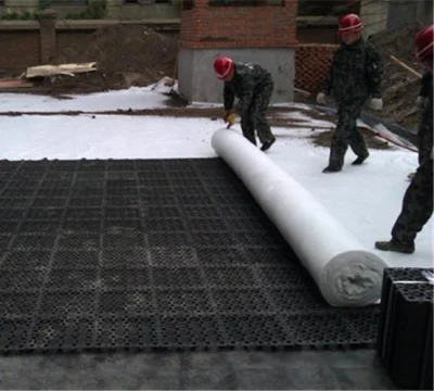 150g 200g 300g 400g 500g 800g 1000g Reinforced PP/Pet Polyester Woven/Nonwoven Geotextile Price for Road Construction Factory Price China