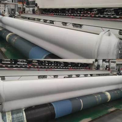 Separation Drainage Filtration Reinforcement Geotextile Long Fiber Non-Woven Filter Cloth Tunnel Environmental Projects Geotextile