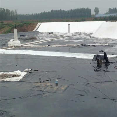 400g 500g Polyester Filament Fiber Nonwoven Geotextile for Oil Storage Tank