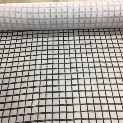 New Materials Geogrid Composite Geotextile for Road Construction