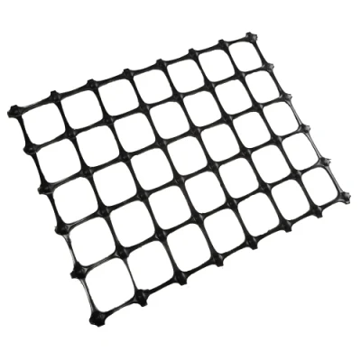 PP Plastic Geogrid for Soft Soil Road Base Retaining Wall Slope Protection