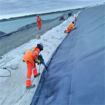Harga Geomembrane HDPE Liner Sheet for Waterproofing Lining of Dam