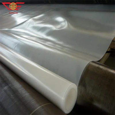 Thickness 1.0mm Anti-Seepage Impermeable Impervious Waterproof Dam Liner Single-Sided Textured HDPE Geomembrane
