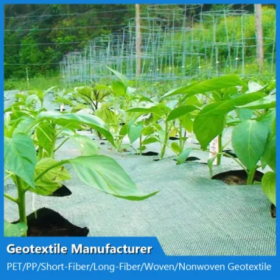 China PP Pet Woven Geotextile Factory