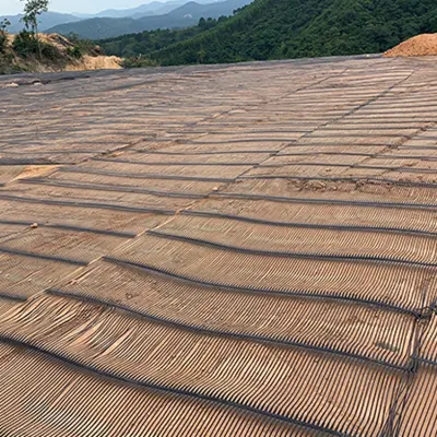 Fiberglass/Polyester Biaxial Geogrid/PP Polyester Uniaxial Geogrid/Plastic/Mining/Steel-Plastic Geogrid
