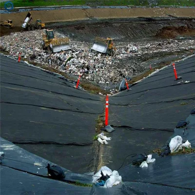 1.0mm Harga Geomembrane HDPE Liner for Solid Waste Treatment in Chile