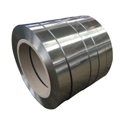 Custom Cold Rolled Stainless Steel Strip 304 with 0.05mm 2mm Thick From Chinese Supplier