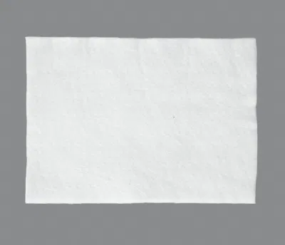 Geocell/Membrane/Geogrid Filament Textile Geotextile 25kn for Filtration and Separation