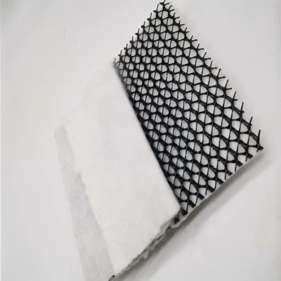 5mm HDPE 3D Composite Drainage Geonet for Landfill Network