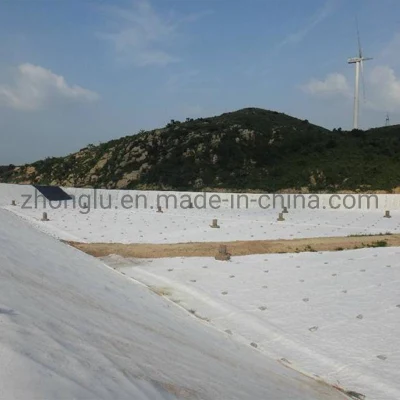 Earthwork Products Polyester PP Nonwoven Geotextile Filter Fabric Price