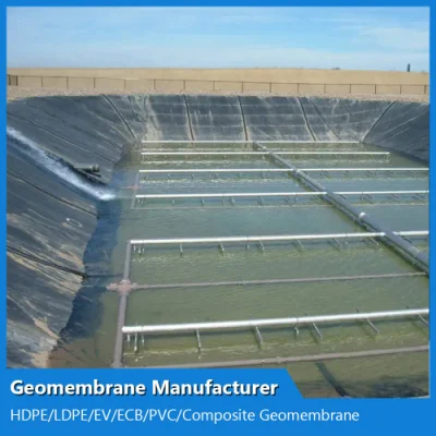Customized HDPE/LDPE/PE/EV/Ecb/PVC Textured/Composite Geomembrane Manufacturer for Aquaculture/Fish Farm/Shrimp/Pond/Dam/Landfill/Mining/Salt/Tailing Liner