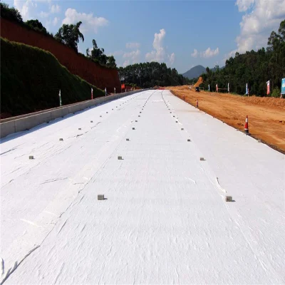 High Cbr Burst Nonwoven Geotextile Filter Fabric for Road Construction