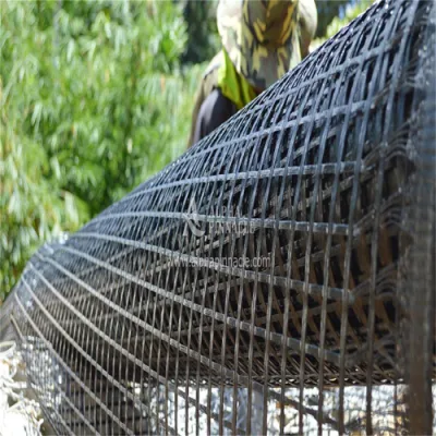 Plastic PP Biaxial Geogrid Fabric Factory Price for Stability Soil Road Railway Construction