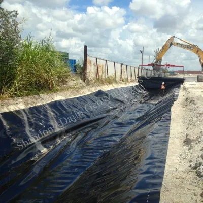 Aquaculture Fish Farm Biofloc HDPE Plastic Film Roll Dam Lining Geomembrane