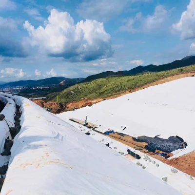 Best Seller PP/Pet Geotextile Accept OEM Customized