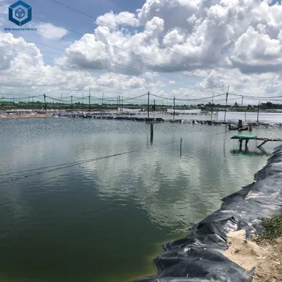 Harga Geomembrane HDPE Pond Liner for Shrimp Pond Project in Malaysia