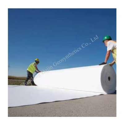 300g Fabric Geotextile for Soil Stabilization