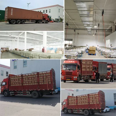 Biobase 300kg/H Split-Type Cube Ice Flake Ice Maker with Filter