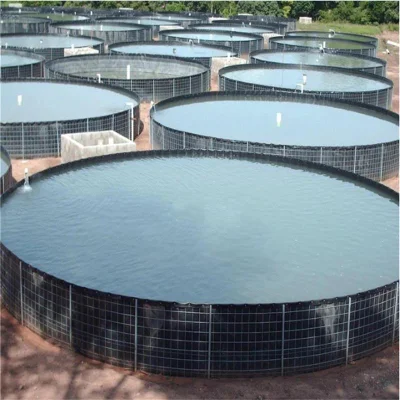 ASTM Environmental Waterproof HDPE Geomembrane for Aquaculture
