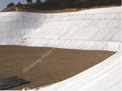 Non Woven Geotextile Needle Punched Nonwoven PP Geo Textiles