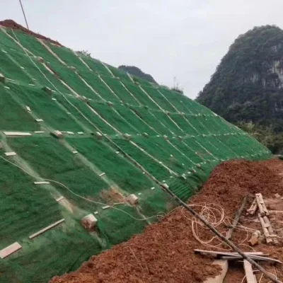 Slope Protection Erosion Control Mat Drainage 3D Geomat