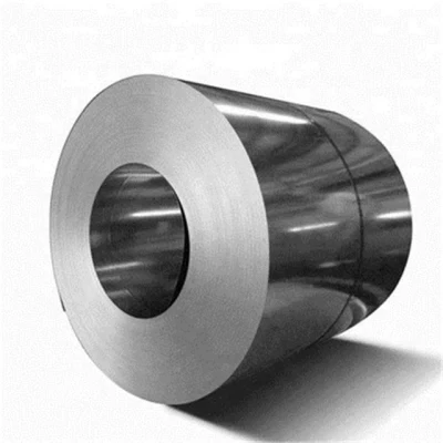 Manufacturer Wholesale Gi Gl Steel Coils OEM Size Galvanized Steel Coil for Building