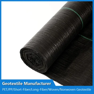 China PP Pet Woven Geotextile Factory