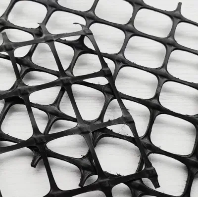 20kn Grid Mesh Biaxial PP Plastic Geogrid for Road Reinforcement