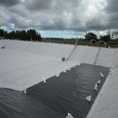 Harga Geomembrane HDPE Liner Sheet for Waterproofing Lining of Dam
