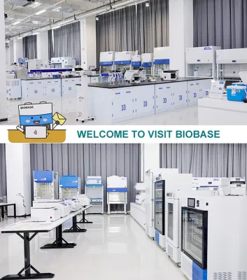 Biobase 300kg/H Split-Type Cube Ice Flake Ice Maker with Filter