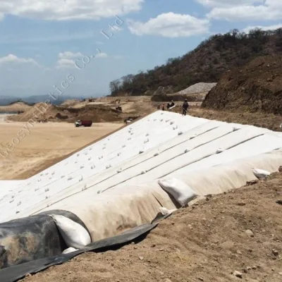 Polyester Pet Filament Geotextile for Erosion Control, Prevention and Repair