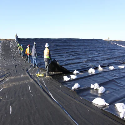 Geotechnical Fabric HDPE Geotech Geomembrane for Artificial Lake Project in Zambia
