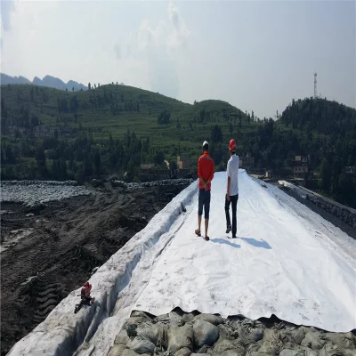 Polypropylene Nonwoven Geotextile Price for Construction Companies