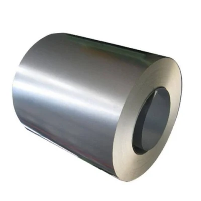 China Professional Supplier 309S 316 201 304 321 Pre Painted Galvanized Steel Strip Stainless Steel Coil