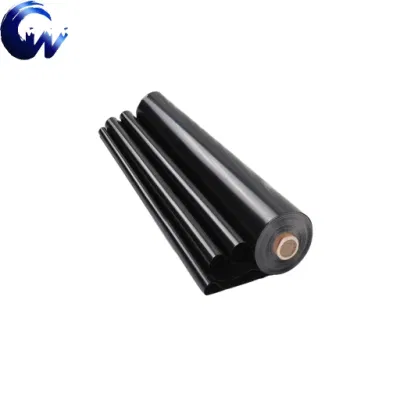 Anti-Aging and UV Resistance Waterproof HDPE/LDPE Geomembrance for Trash Landfill