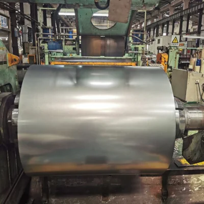 China Professional Supplier 309S 316 201 304 321 Pre Painted Galvanized Steel Strip Stainless Steel Coil