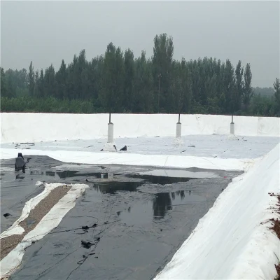 Polypropylene Nonwoven Geotextile Price for Construction Companies