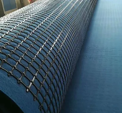 Superior Quality Biaxial Steel Plastic Geogrid Driveway