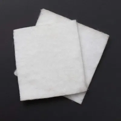 Geocell/Membrane/Geogrid Filament Textile Geotextile 25kn for Filtration and Separation