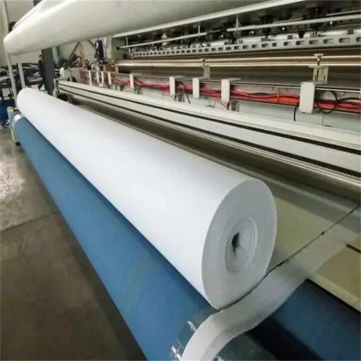 Geotextile Fabric Filament Polyester Geotextile Cost Per Square Foot for Construction in Chile