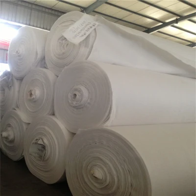 400g 500g Polyester Filament Fiber Nonwoven Geotextile for Oil Storage Tank