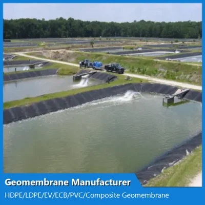 Customized ASTM Anti-Seepage Waterproof Impermeable Smooth Textured HDPE/LDPE/PE/EV/Ecb/PVC Textured/Composite Geomembrane Manufacturer