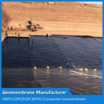 Customized ASTM Anti-Seepage Waterproof Impermeable Smooth Textured HDPE/LDPE/PE/EV/Ecb/PVC Textured/Composite Geomembrane Manufacturer