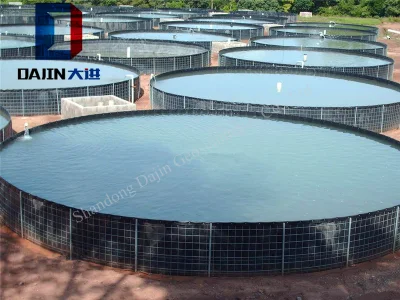 Aquaculture Fish Farm Biofloc HDPE Plastic Film Roll Dam Lining Geomembrane