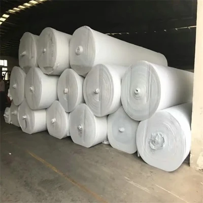 Geotextile Fabric Filament Polyester Geotextile Cost Per Square Foot for Construction in Chile