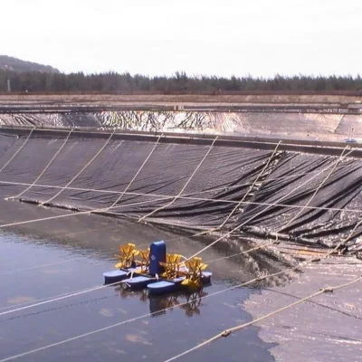 HDPE Landfill Smooth Surface/Textured Geomembrane Manufacturer